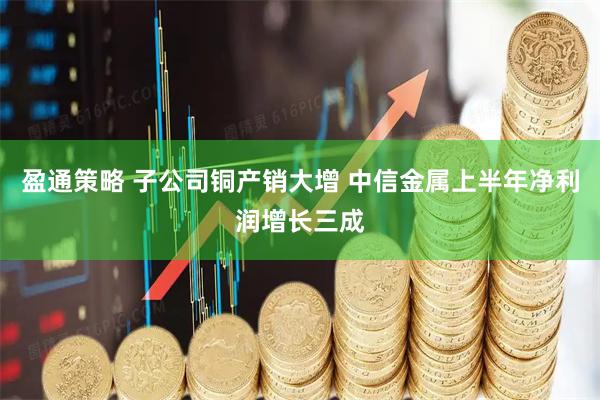 盈通策略 子公司铜产销大增 中信金属上半年净利润增长三成