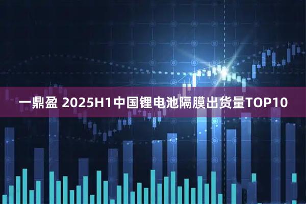 一鼎盈 2025H1中国锂电池隔膜出货量TOP10