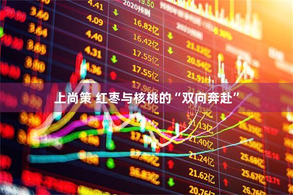 上尚策 红枣与核桃的“双向奔赴”